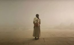 Александра Киселева фильм Жар-птица